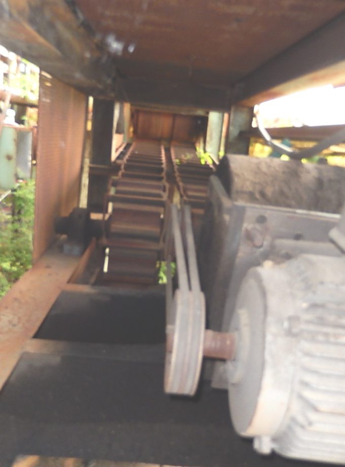 30' Dual Ladder Chain Type Log Conveyor