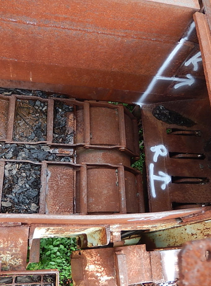 30' Dual Ladder Chain Type Log Conveyor