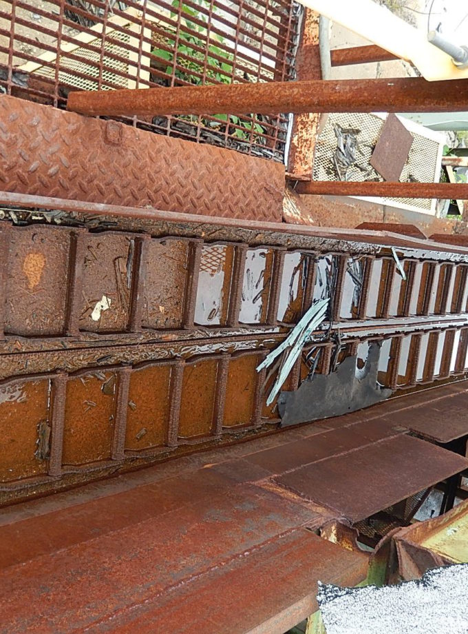 30' Dual Ladder Chain Type Log Conveyor