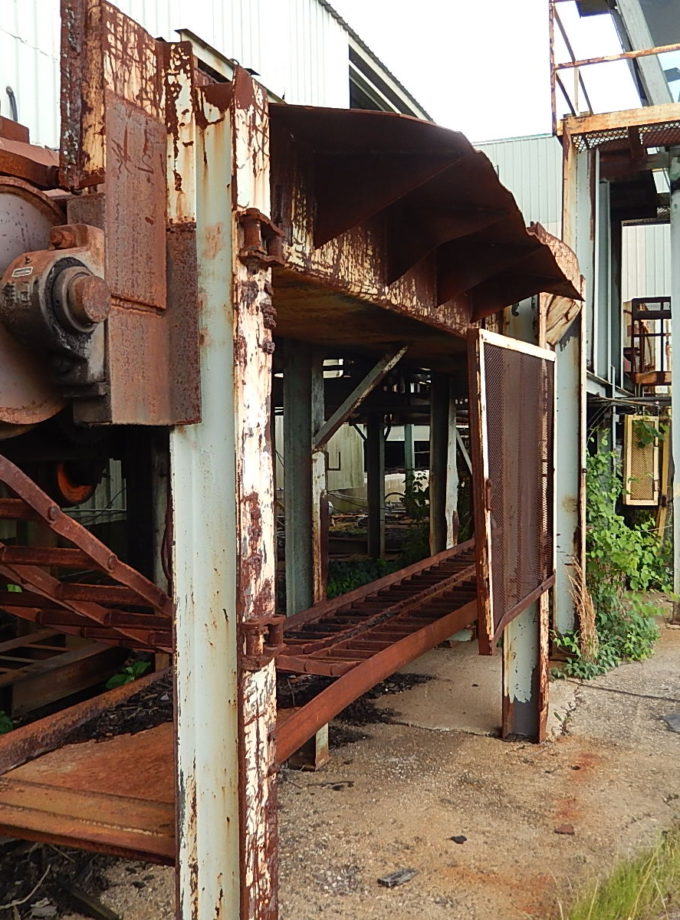 30' Dual Ladder Chain Type Log Conveyor