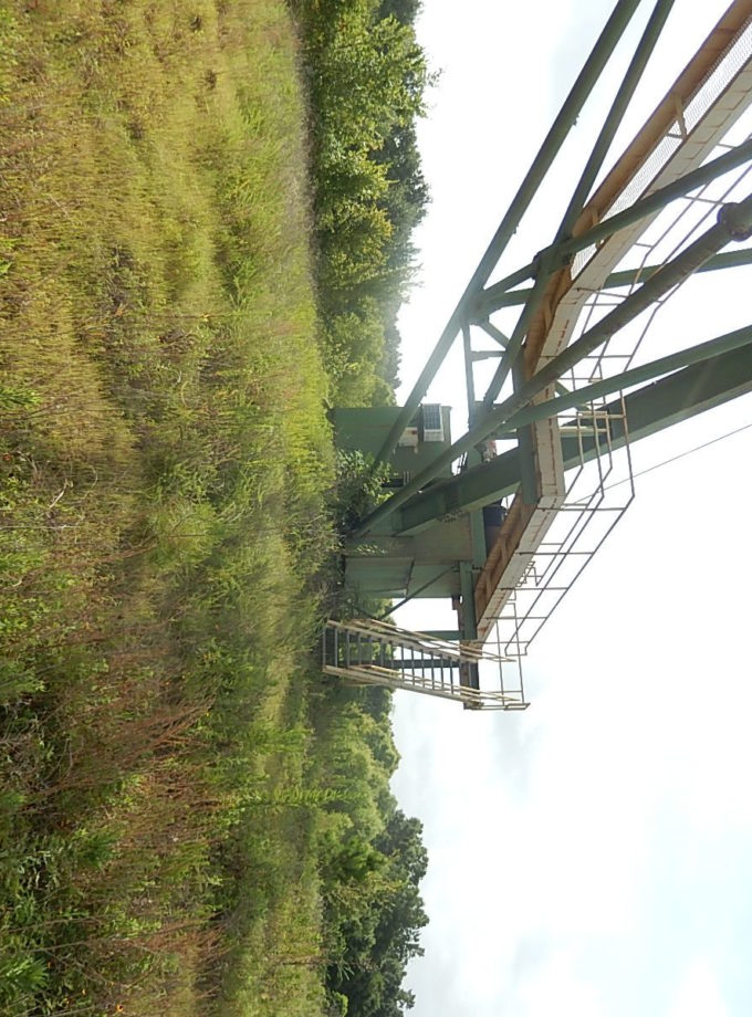 PSI Log Crane