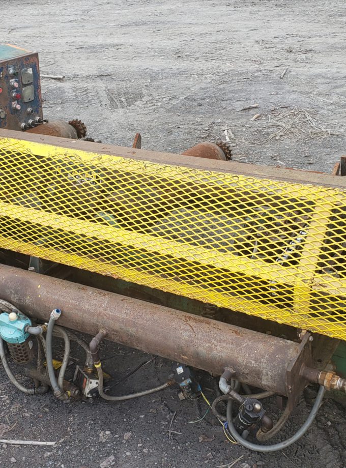 Gang or edger infeed