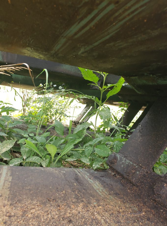 WEBSTER 70' FSL Vibrating Conveyor