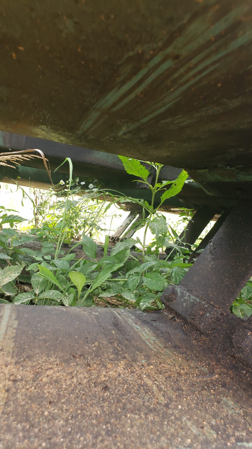WEBSTER 70' FSL Vibrating Conveyor - Image 5