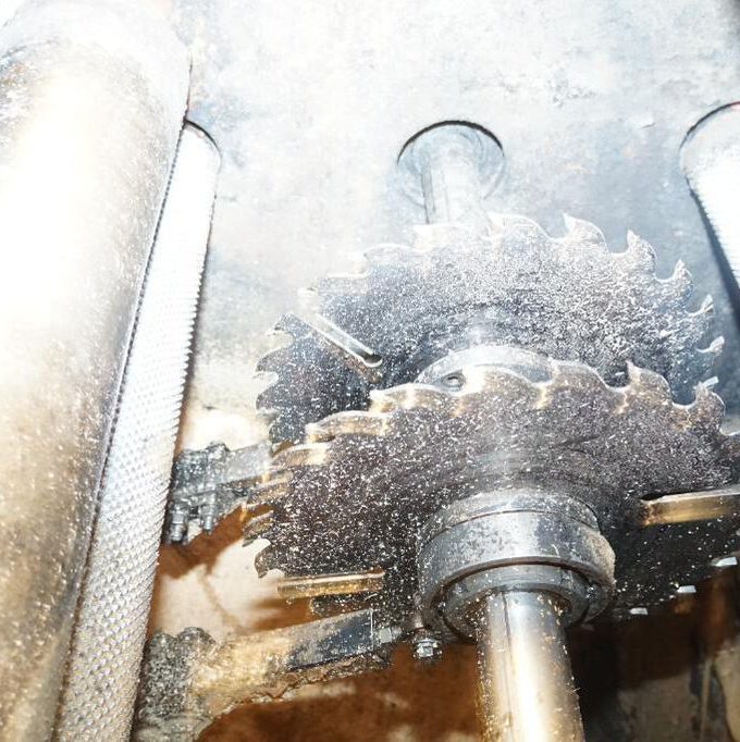 LIGNA 2-Saw Board Edger