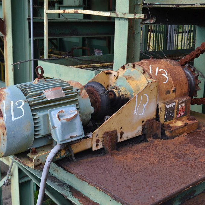 30' Endwise Log Conveyor