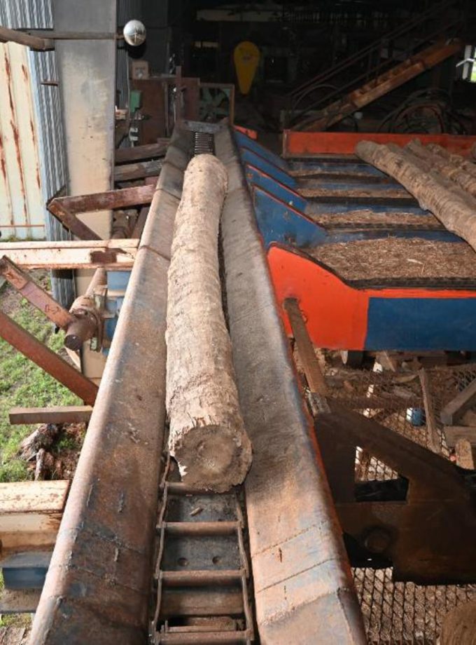 Log Trough Conveyor 34'