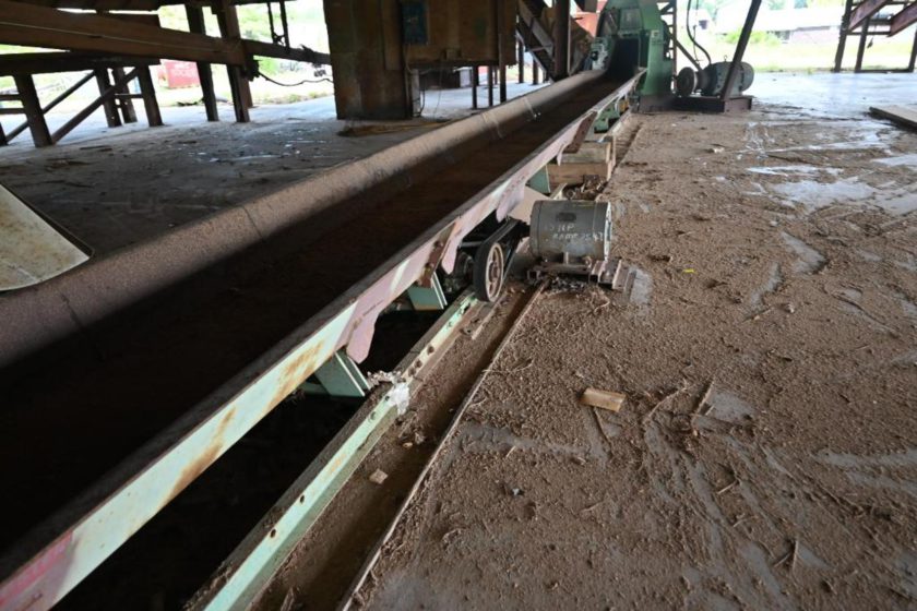 WEBSTER 46' x 24" Vibrating Conveyor