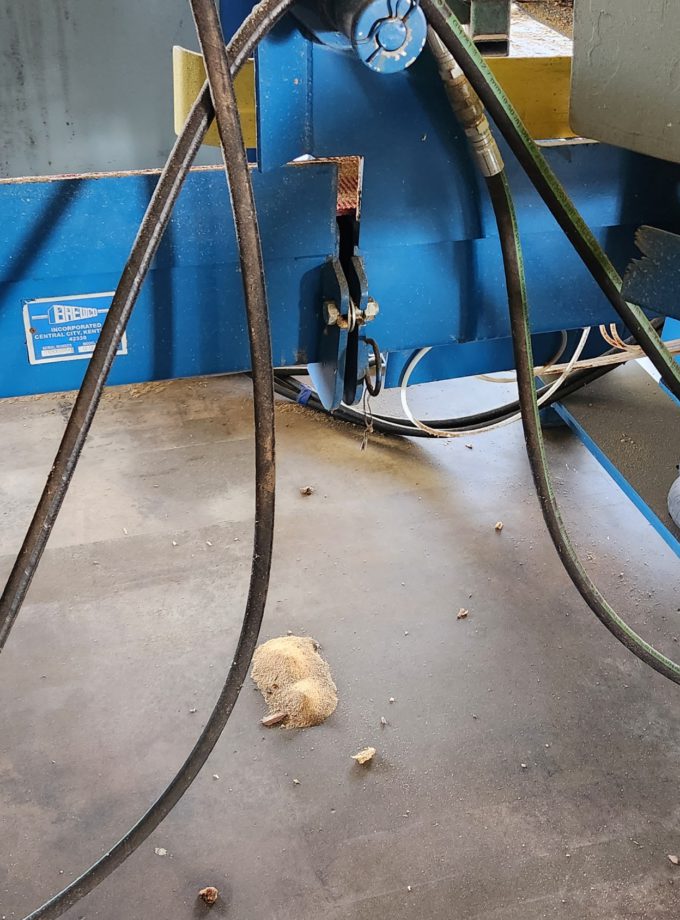 BREWCO 6 Head Horizontal Resaw