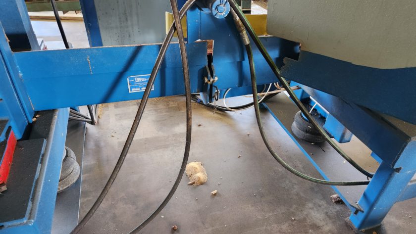 BREWCO 6 Head Horizontal Resaw - Image 3