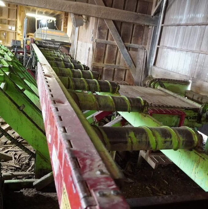 Live Spiral Rolls 20'