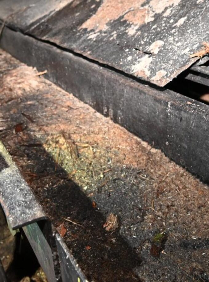 PRECISION Vibrating Conveyor 66' Long