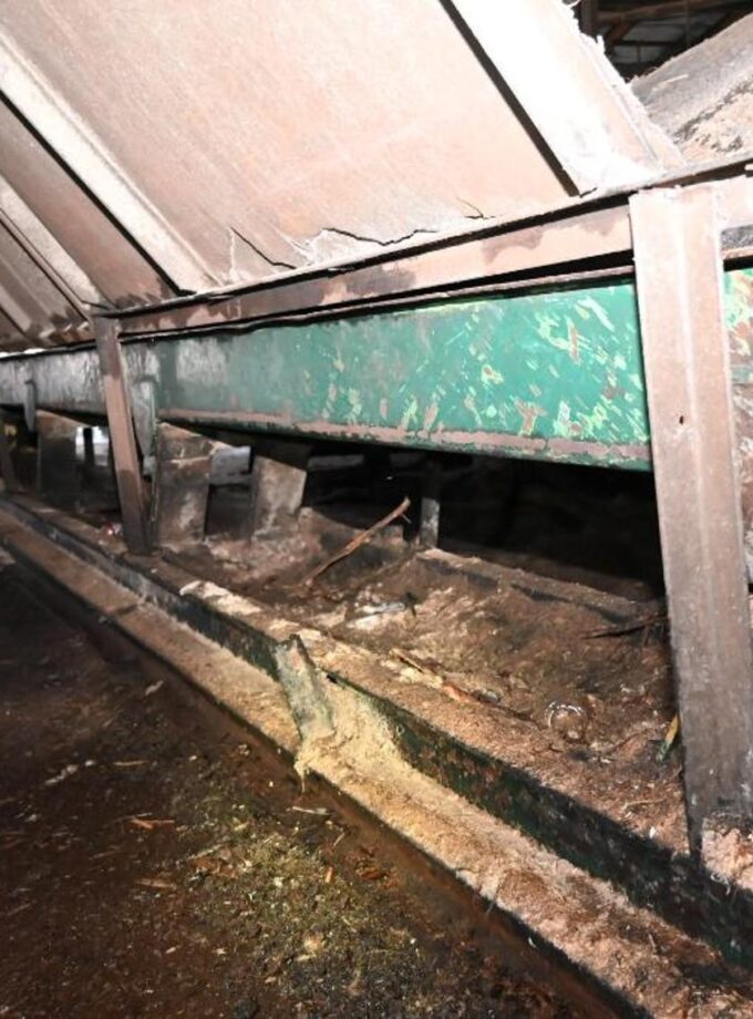 PRECISION Vibrating Conveyor 66' Long