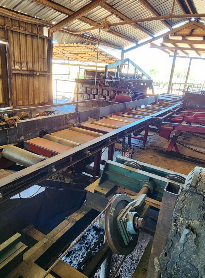 Live Rolls - 27' x 24"