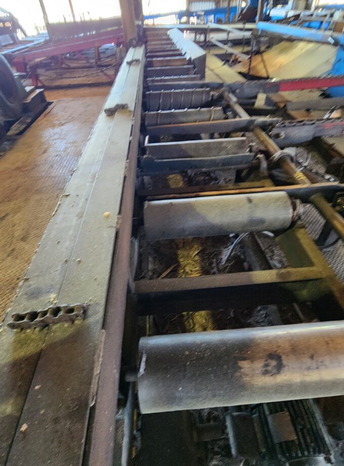 Live Rolls - 42' long x 24" wide