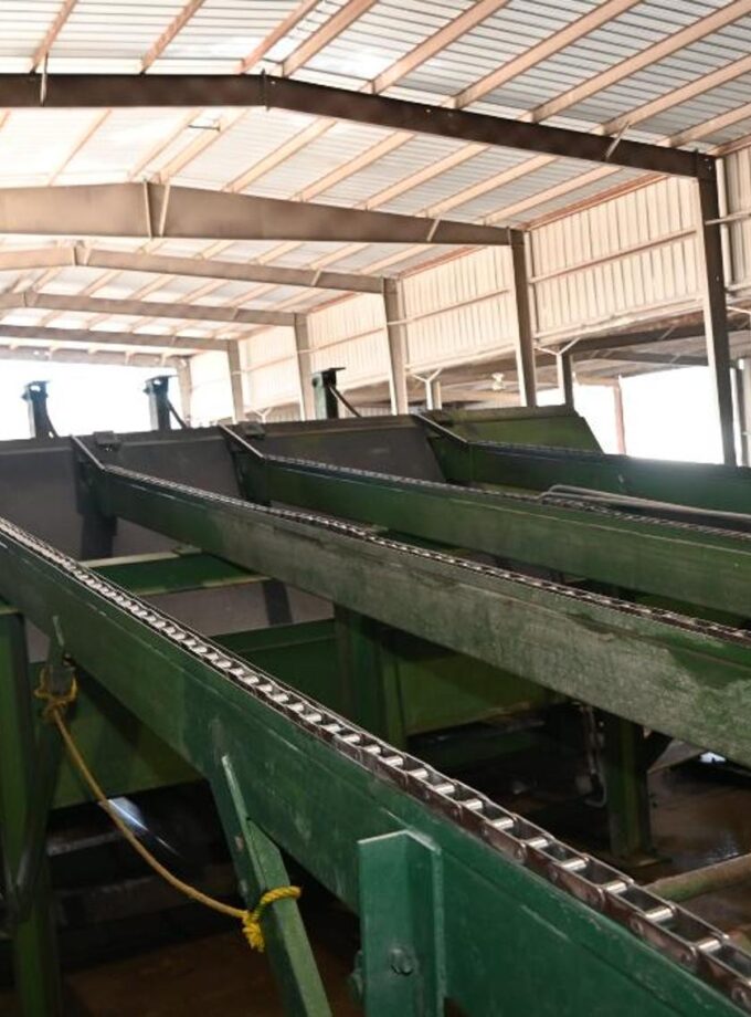 Planer Line Complete