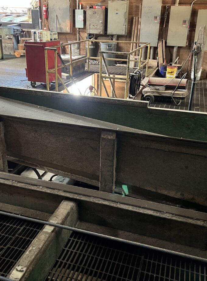 Complete Sawmill in Georgia