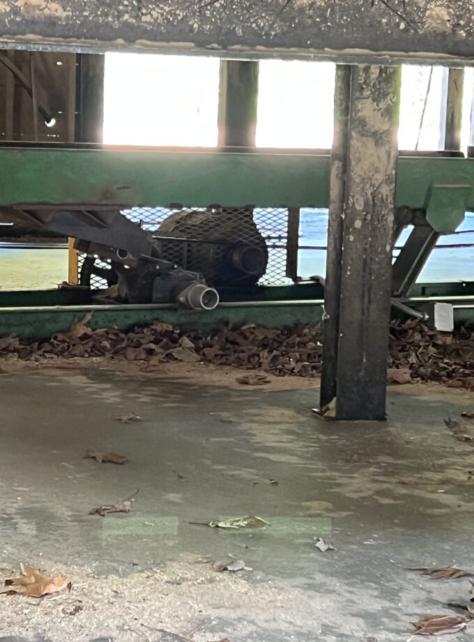 Complete Sawmill in Georgia